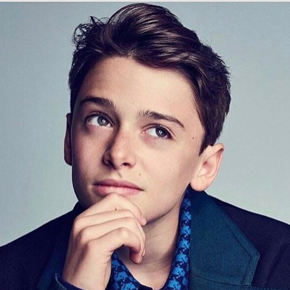 Noah Schnapp - Biography, Height & Life Story | Super Stars Bio