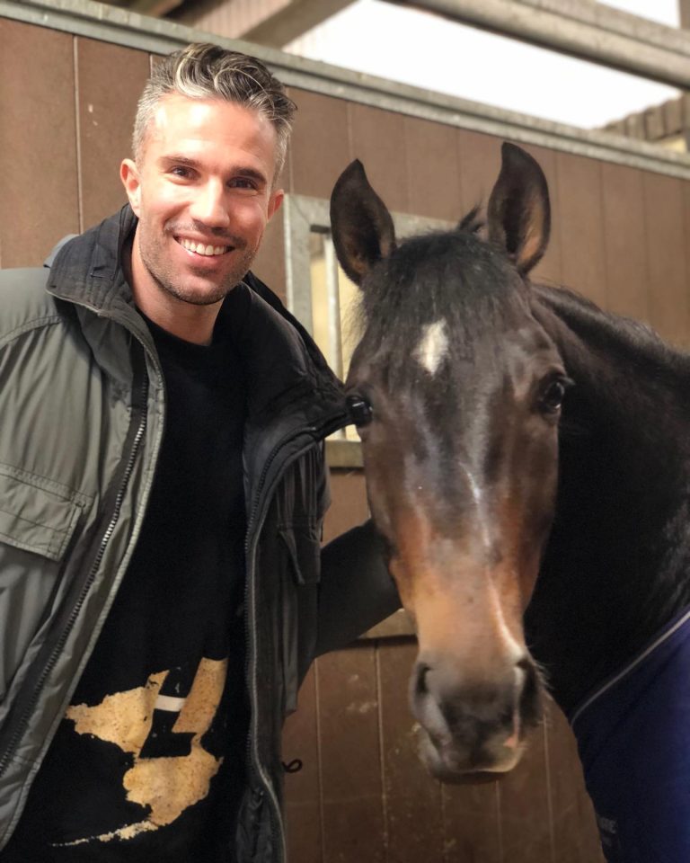 Robin van Persie - Biography, Height & Life Story | Super Stars Bio