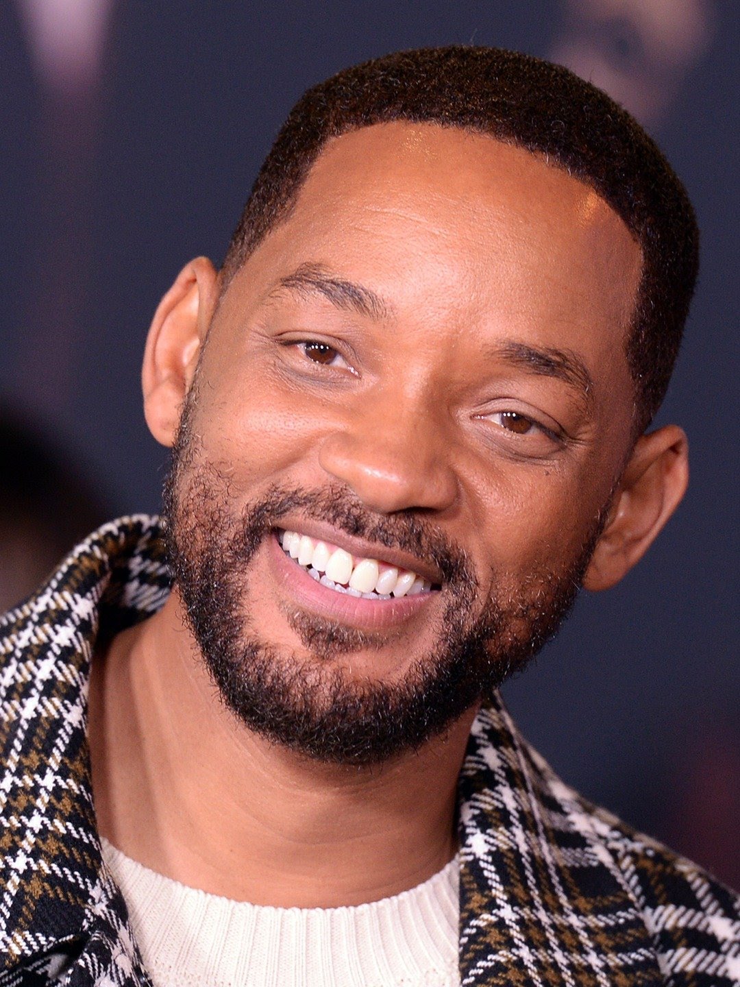 will smith biography facts