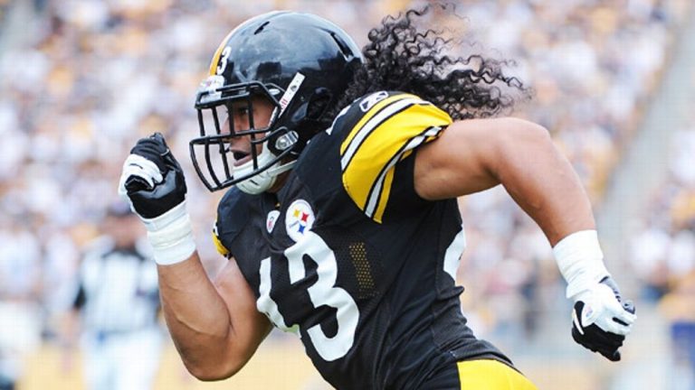 Troy Polamalu - Biography, Height & Life Story | Super Stars Bio