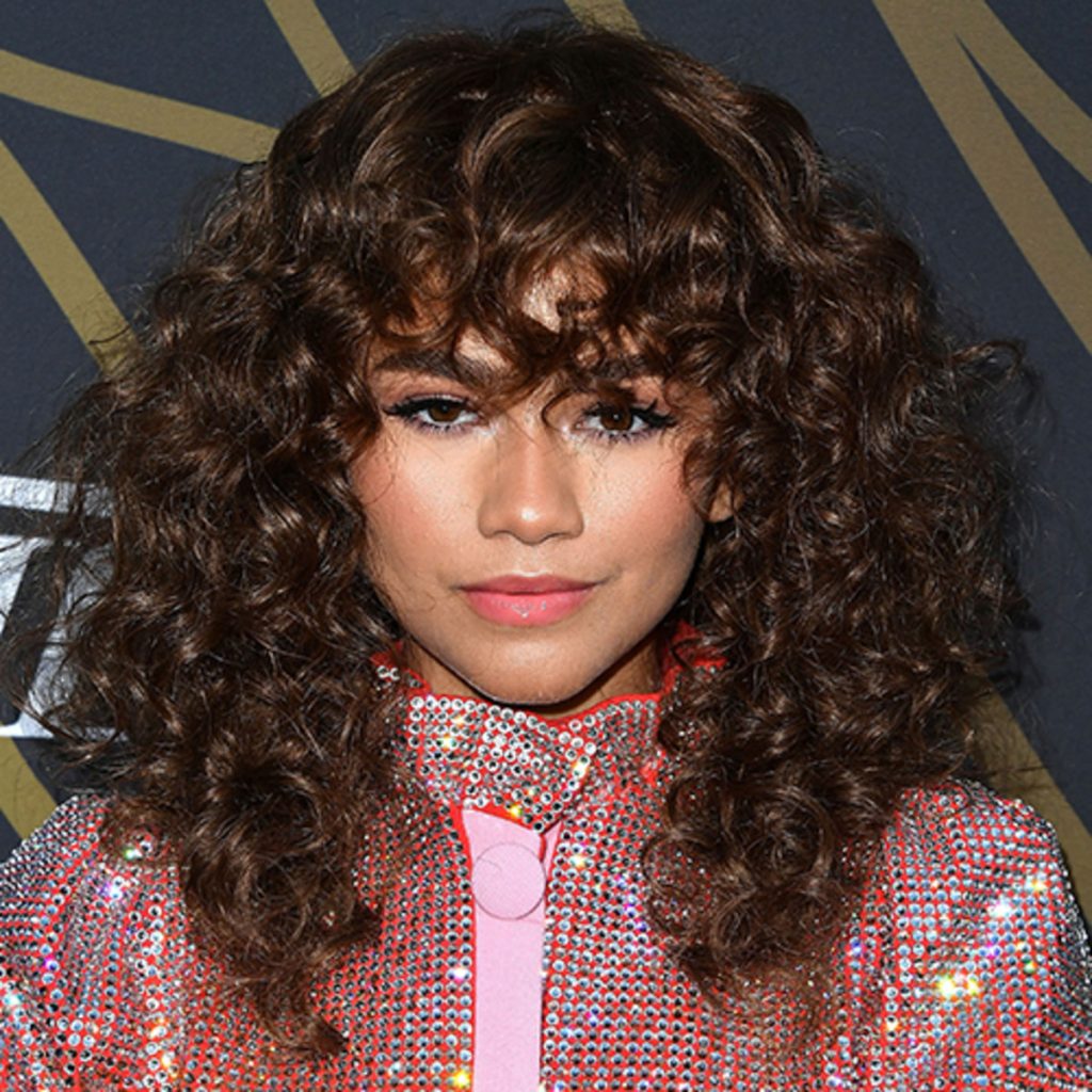 Zendaya - Biography, Height & Life Story | Super Stars Bio