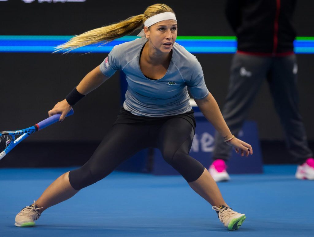 Dominika Cibulkova - Biography, Height & Life Story | Super Stars Bio