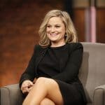 Amy Poehler American Actress, Comedian, Director, Producer and Writer