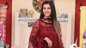 Nida Yasir Pakistani Actress, Host, Model
