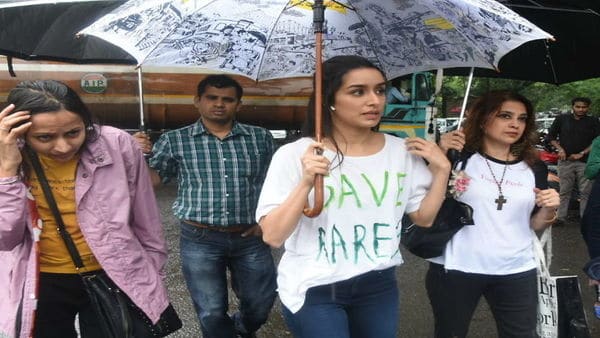 B’wood celebs show their anger over authorities on cutting of trees