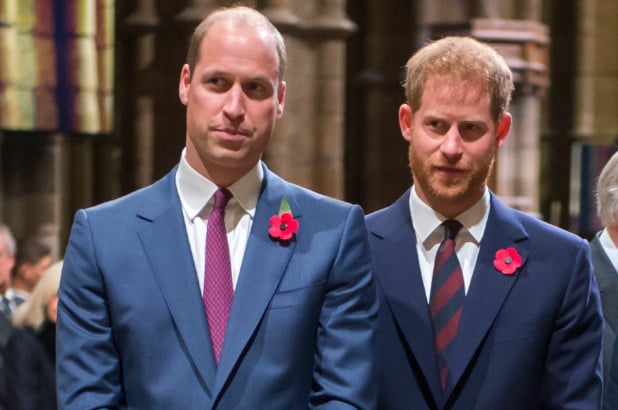 Prince Harry, Prince William are on different tracks, but supports each other