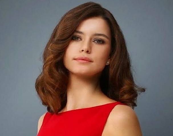 8 Things You Didn't Know About Beren Saat Stars Bio