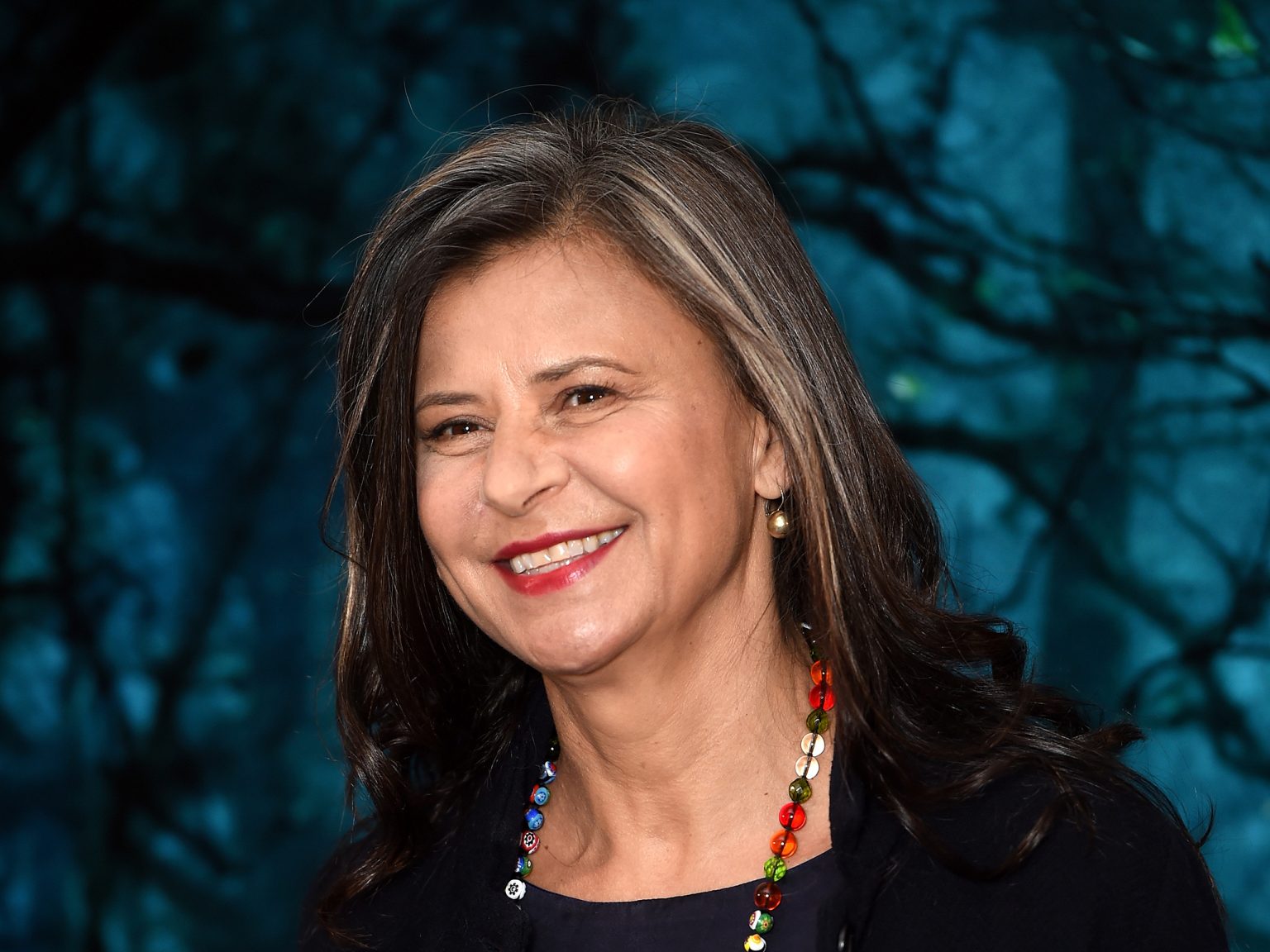 Tracey Ullman - Biography, Height & Life Story | Super Stars Bio