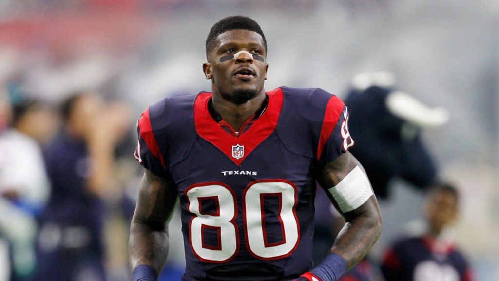 Andre Johnson - Biography, Height & Life Story | Super Stars Bio