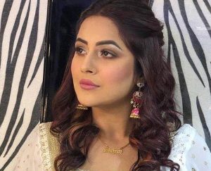 Shehnaz Kaur Gill - Biography, Height & Life Story | Super Stars Bio