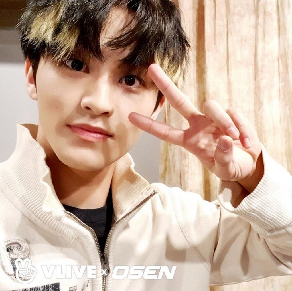 Mark Lee - Biography, Height & Life Story | Super Stars Bio