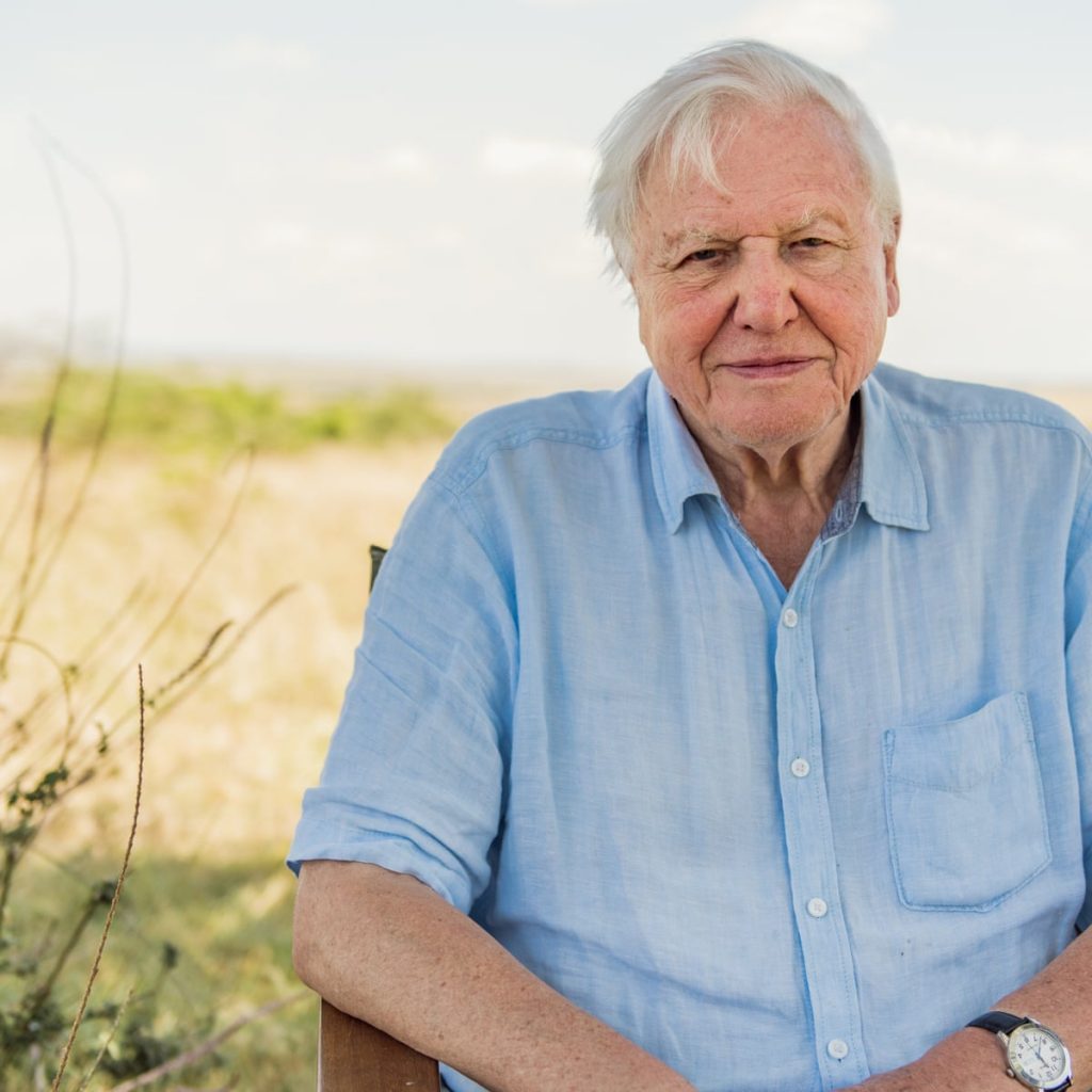 David Attenborough - Biography, Height & Life Story | Super Stars Bio
