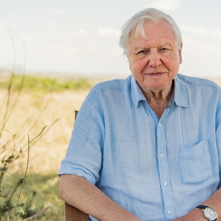 David Attenborough - Biography, Height & Life Story | Super Stars Bio