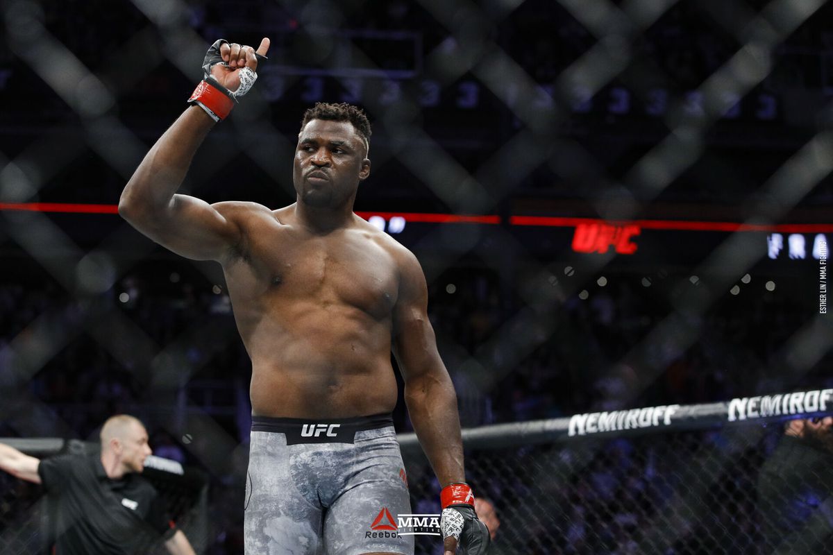 Francis Ngannou fighter