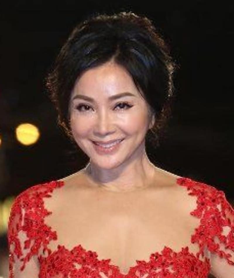 Chen Meifeng Taiwanese Actress