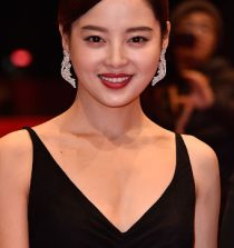 Xin Zhilei Actress