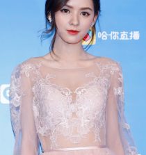 Zhang Yuxi Actress