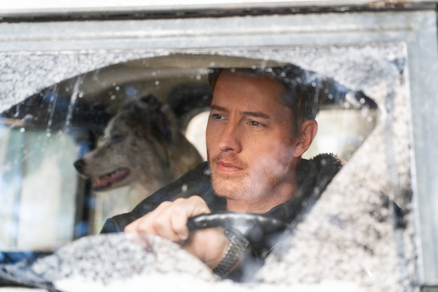 The Noel Diary Movie Actors Cast Director Producer Roles Box Office 