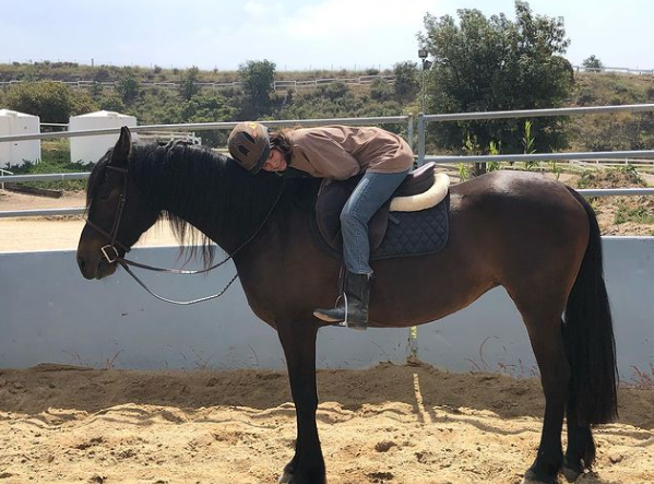 Sosie with her horse