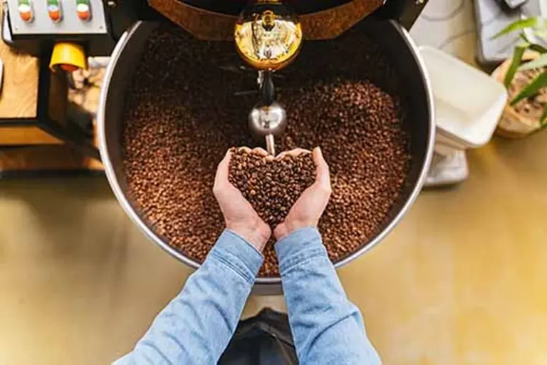 Freshly Roasted Beans